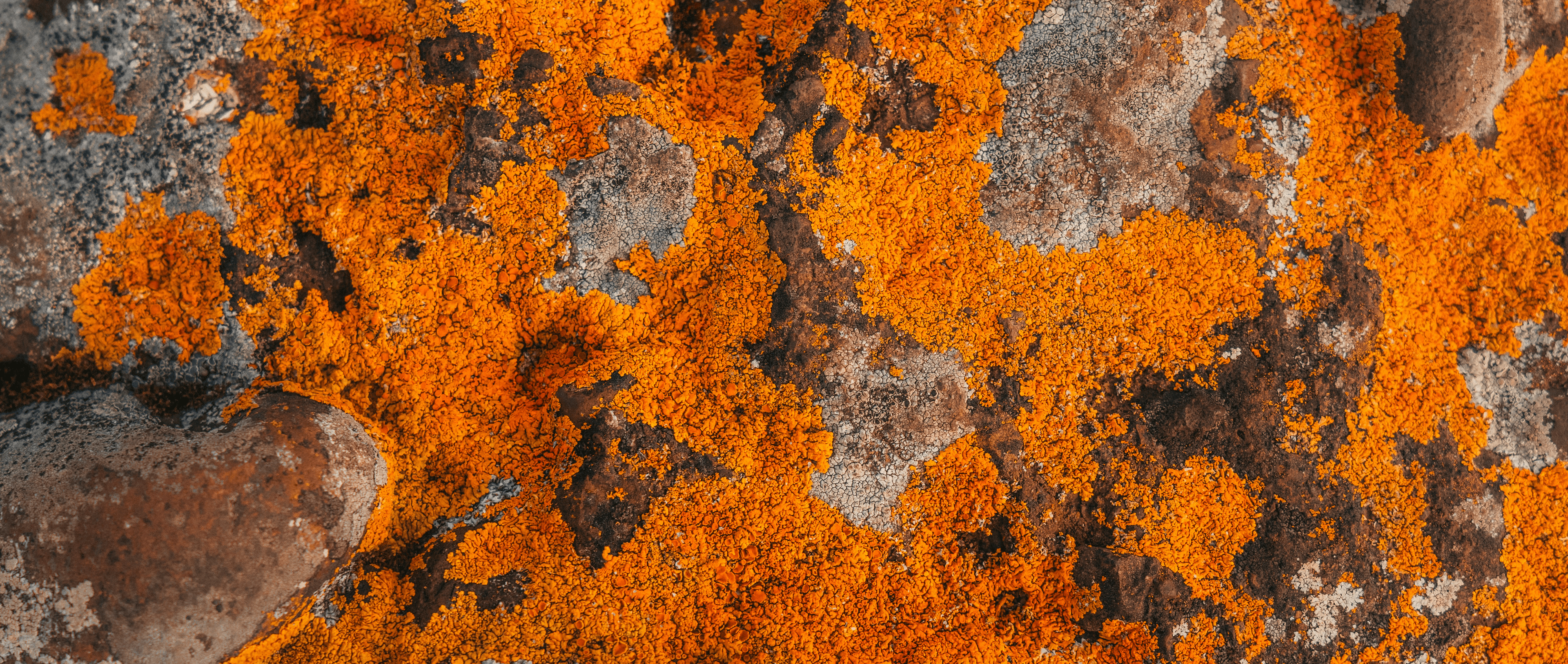 Background-images